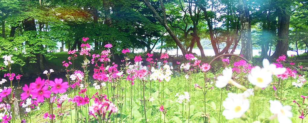 診療案内